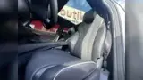 BYD Dolphin Plus - Miniatura 8