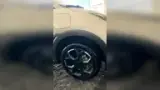 BYD Dolphin Mini - Miniatura 9