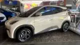BYD Dolphin Mini - Miniatura 10
