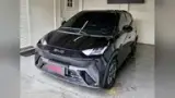 BYD Dolphin Mini - Miniatura 2