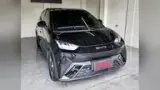 BYD Dolphin Mini - Miniatura 3