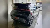 BYD Dolphin Mini - Miniatura 6