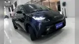 BYD Dolphin Mini - Miniatura 2