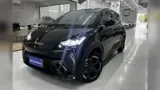 BYD Dolphin Mini - Miniatura 10