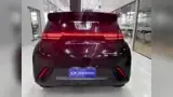 BYD Dolphin Mini - Miniatura 15