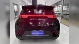 BYD Dolphin Mini - Miniatura 3