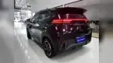 BYD Dolphin Mini - Miniatura 4