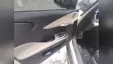 BYD Dolphin - Miniatura 10
