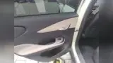 BYD Dolphin - Miniatura 12