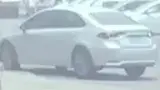 BYD Dolphin - Miniatura 14