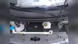BYD Dolphin - Miniatura 18