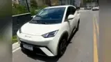 BYD Dolphin Mini - Miniatura 1