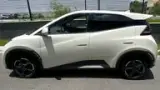 BYD Dolphin Mini - Miniatura 2