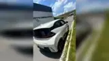 BYD Dolphin Mini - Miniatura 5