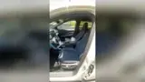 BYD Dolphin Mini - Miniatura 6