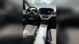 BYD Dolphin - Miniatura 4