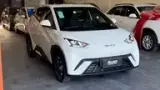 BYD Dolphin Mini - Miniatura 3