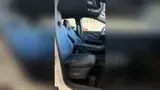 BYD Dolphin Mini - Miniatura 9