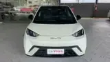 BYD Dolphin Mini - Miniatura 2