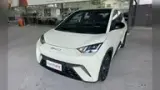 BYD Dolphin Mini - Miniatura 3