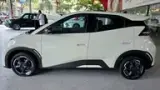 BYD Dolphin Mini - Miniatura 4