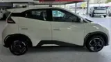 BYD Dolphin Mini - Miniatura 5
