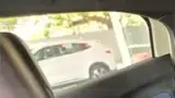 BYD Dolphin Mini - Miniatura 10