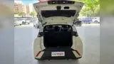 BYD Dolphin Mini - Miniatura 14