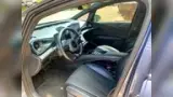BYD Dolphin Plus - Miniatura 7