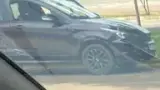 BYD Dolphin Plus - Miniatura 8
