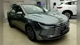 BYD King - Miniatura 1