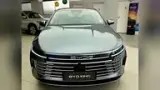BYD King - Miniatura 2