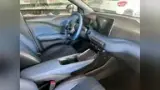 BYD Dolphin Mini - Miniatura 8