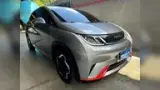 BYD Dolphin - Miniatura 1