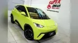 BYD Dolphin Mini - Miniatura 1