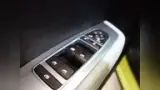 BYD Dolphin Mini - Miniatura 15