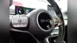 BYD Dolphin Mini - Miniatura 19