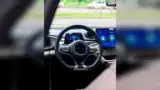 BYD Dolphin - Miniatura 12