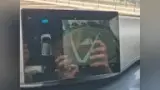 BYD Dolphin Mini - Miniatura 10