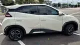 BYD Dolphin Mini - Miniatura 12