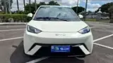 BYD Dolphin Mini - Miniatura 15