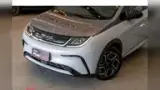 BYD Dolphin Plus - Miniatura 2