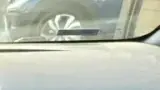 BYD Dolphin - Miniatura 6