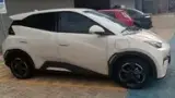BYD Dolphin Mini - Miniatura 3