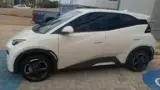 BYD Dolphin Mini - Miniatura 9