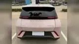 BYD Dolphin Mini - Miniatura 5