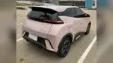 BYD Dolphin Mini - Miniatura 6