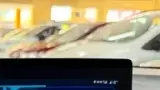 BYD Dolphin Mini - Miniatura 13