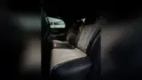 BYD Dolphin - Miniatura 12