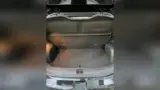 BYD Dolphin - Miniatura 13